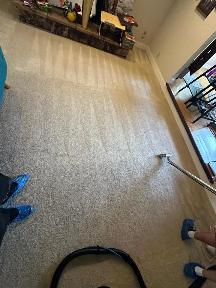 Living room carpet being cleaned with a hot water extraction wand, technician wearing shoe covers