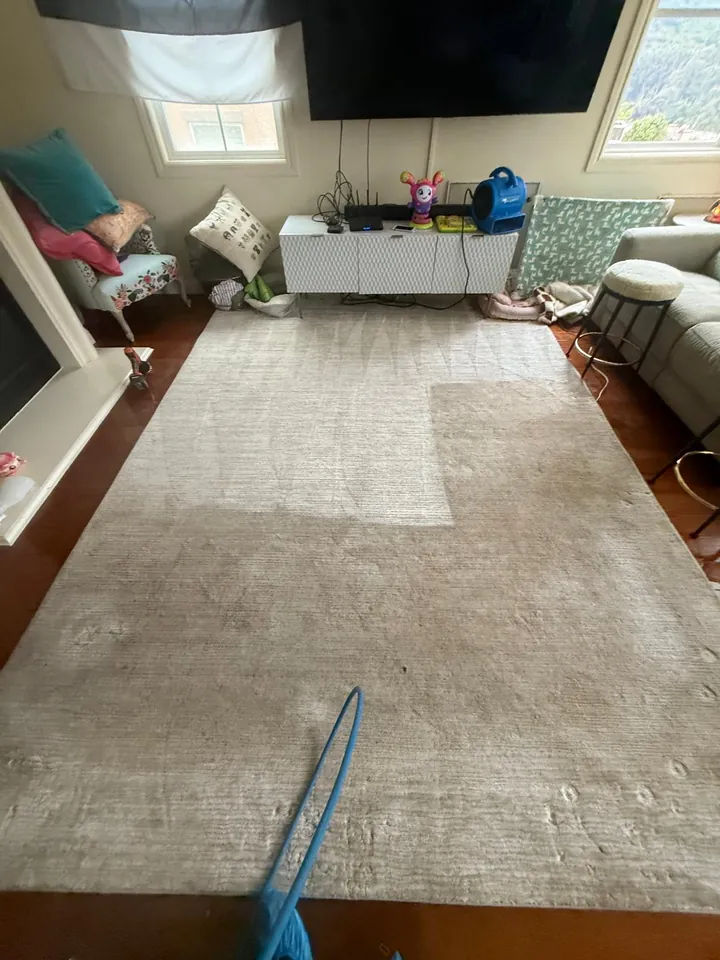 Large area rug halfway through cleaning, the cleaned half visibly brighter than the soiled half