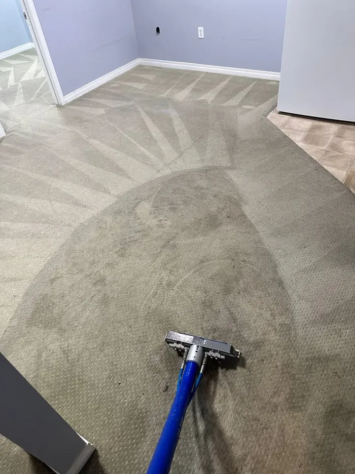 Bedroom carpet being cleaned with a wand, fresh clean lanes across the floor