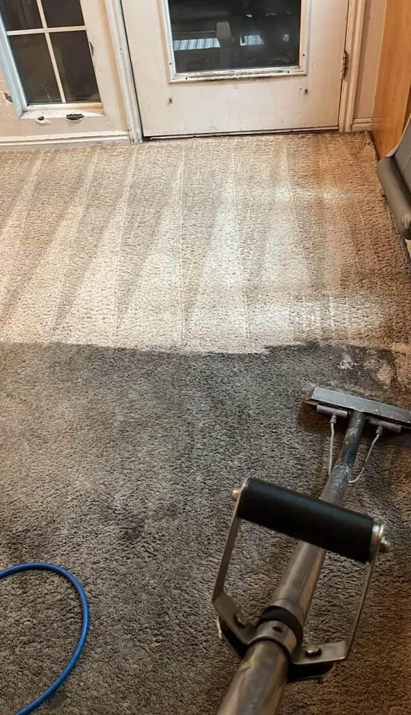 Carpet extraction wand cleaning a dark entryway carpet, leaving clean bright lanes